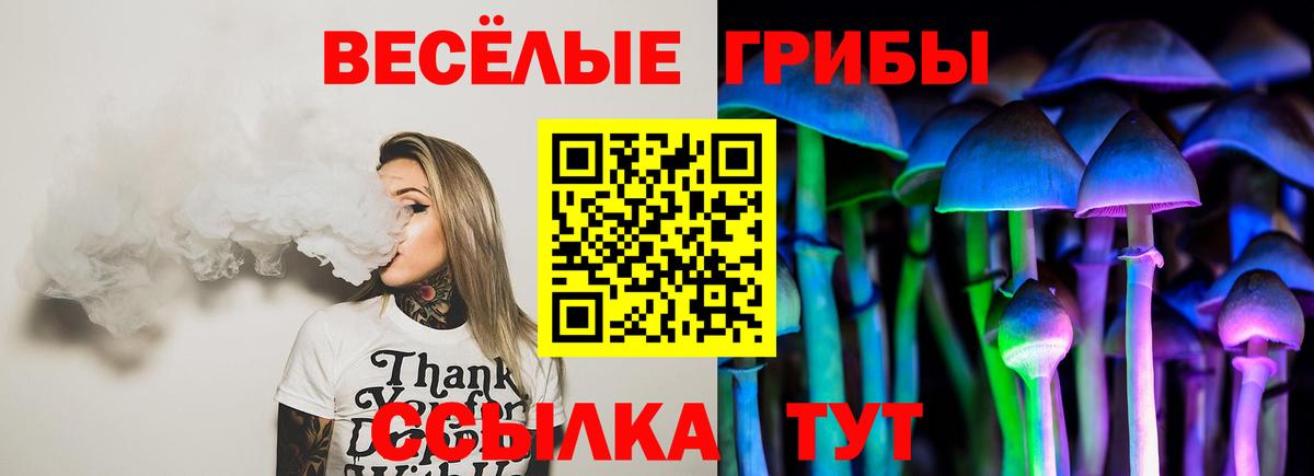 даркнет сайт  Вход с VPN  Богородицк  Галлюциногенные грибы Psilocybine cubensis 
